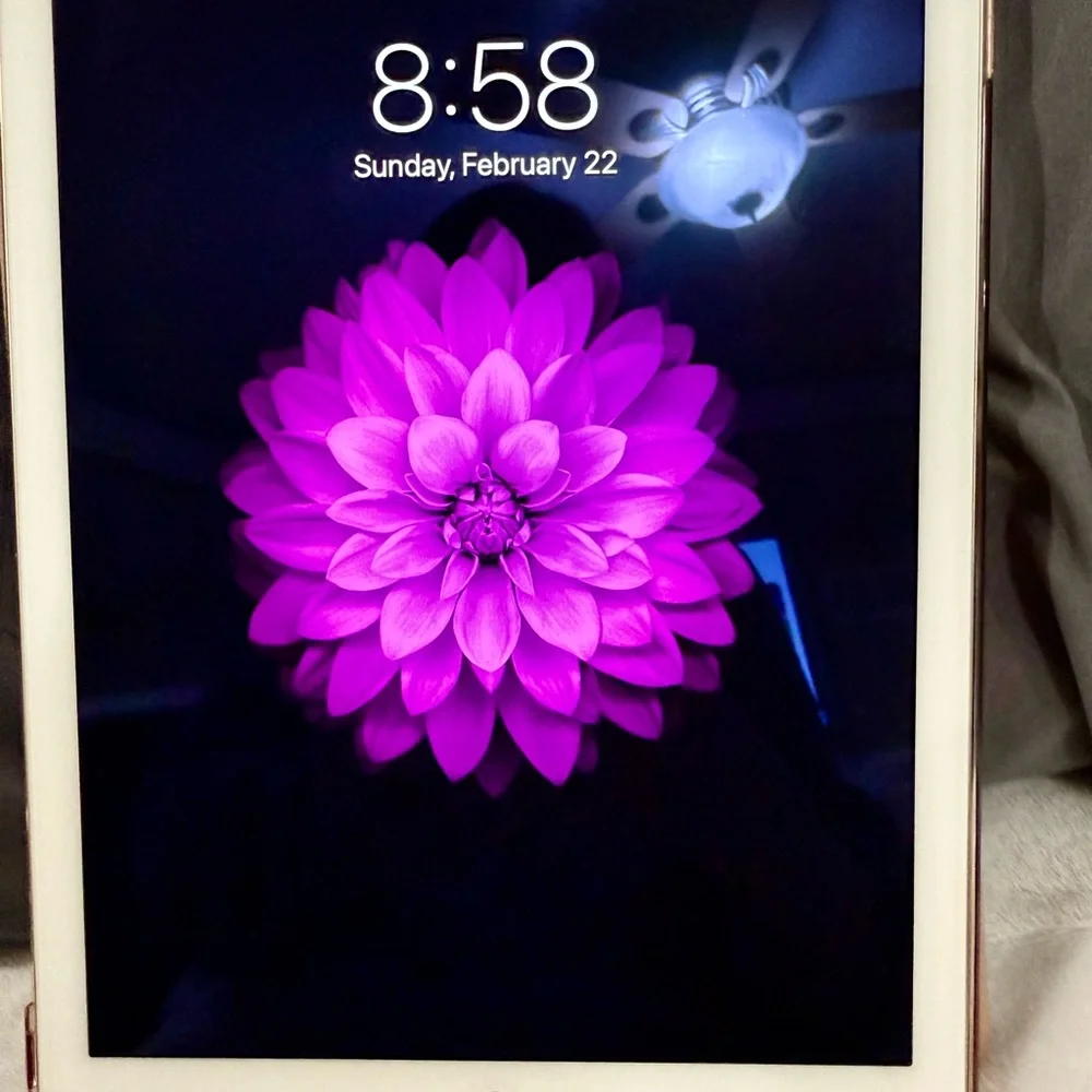 Apple iPad Air 2 - Gold 16GB - WiFi